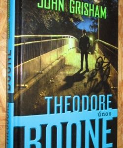 Theodore Boone - Únos