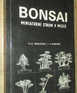 Bonsai miniaturní strom v misce