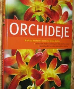 Orchideje