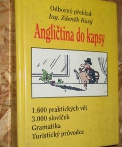 Angličtina do kapsy