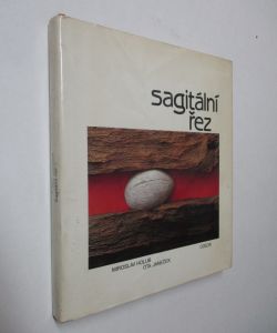 Sagitální řez