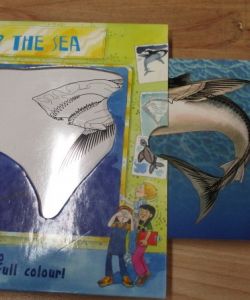 Under the Sea