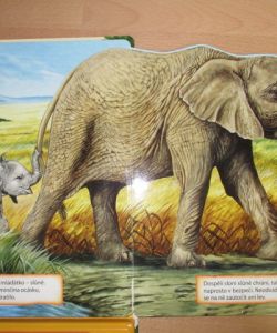 Kdo Žije v Zoo