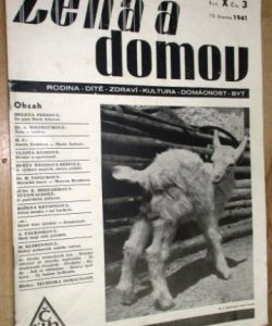 Žena a domov