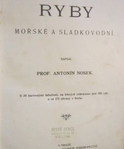Ryby mořské a sladkovodní