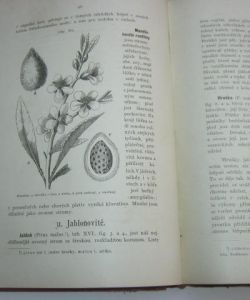 Malý Brehm IV - Rostlinopis