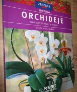 Orchideje