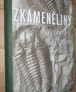 Zkameněliny českých pramoří - Jejich sběr a určování