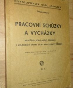 Pracovní schůzky a vycházky