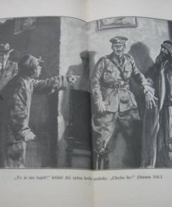 Tureček Ali