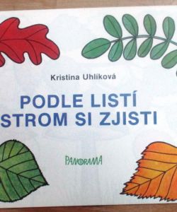 Podle listí strom si zjisti