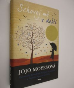 Schovej mě v dešti