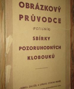 Obrázkový průvodce (popisník) sbírky pozoruhodných klobouků