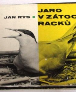 Jaro  v zátoce racků