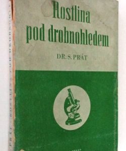 Rostlina pod drobnohledem