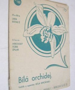 Bílá orchidej