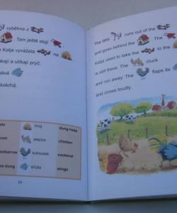 Příhody malého poníka (Svět ukrytý a anglické abecedě)