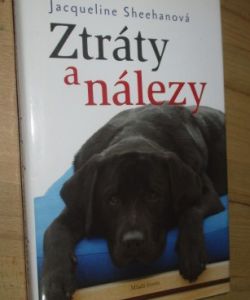 Ztráty a nálezy