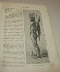 Přírodopis člověka II.