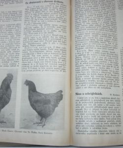 23. ročník
