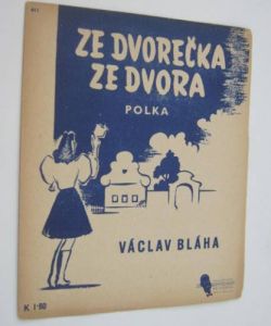 Ze dvorečka, do dvora