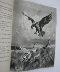 Čing - ptačí král