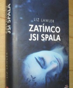 Zatímco jsi spala