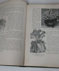 Domácí zahrady a zahrádky