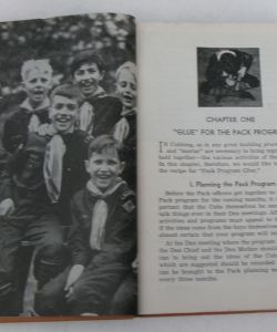 How Book of Cubbing