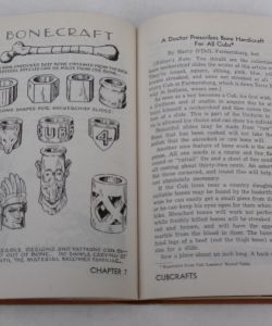 How Book of Cubbing