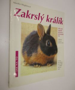 Zakrslý králík