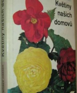 Květiny našich domovů