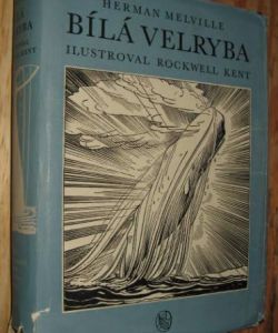 Bílá velryba