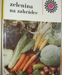 Zelenina na zahrádce