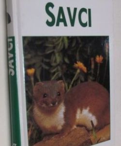 Savci