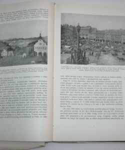 700 let Trutnova 1260-1960
