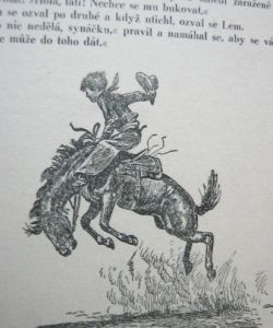 Klučina z farmy