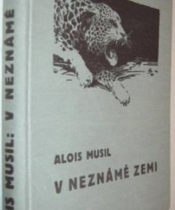 V neznámé zemi