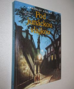 Pod junáckou vlajkou