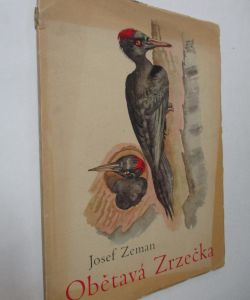 Obětavá Zrzečka