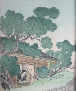 JAPANISCHE DICHTUNGEN WEISSASTER