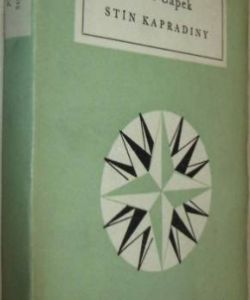 Stín kapradiny