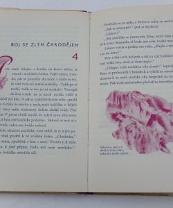 Pohádka o černé růži