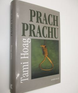 Prach prachu