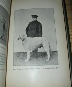 Der Jagdhund, Seine Züchtung, Erziehung, Wartung, Dressur und Führung