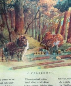 Paletovy skládačky I. - Z říše pohádek