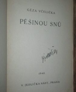 Pěšinou snů