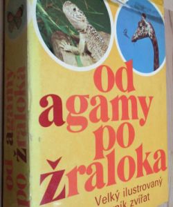 Od agamy po žraloka