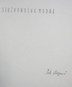 Stužkonoska modrá