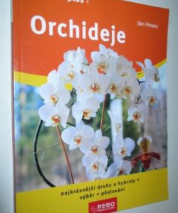 Orchideje